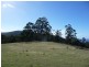 Lots 1, 2 and 3 Wielangta Road, Bream Creek TAS 7175