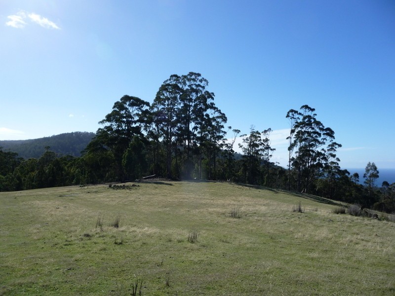 Lots 1, 2 and 3 Wielangta Road, Bream Creek TAS 7175