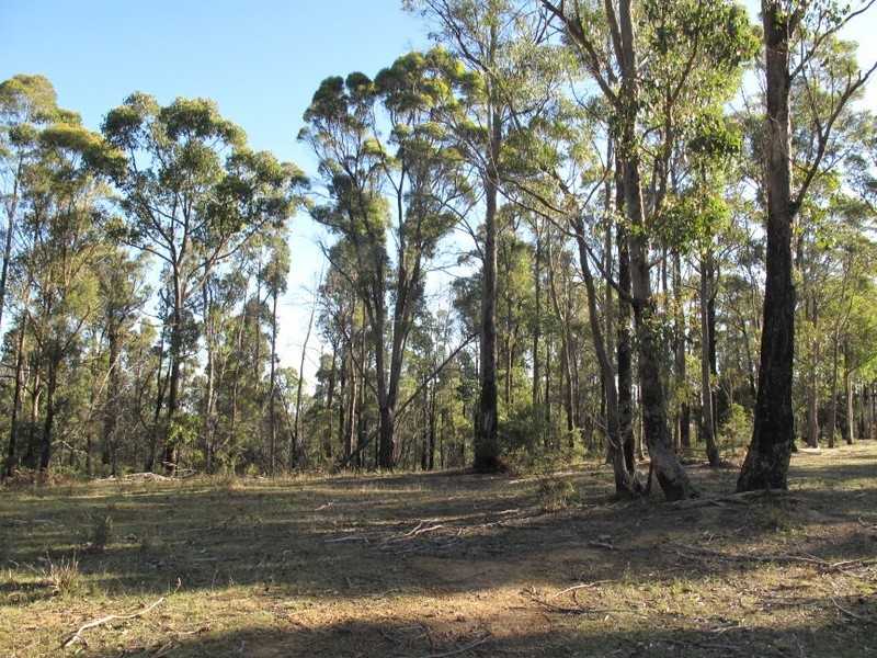 507 Kellevie Road, Kellevie TAS 7176