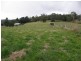 Lot 1 Nubeena Back Road, Nubeena TAS 7184