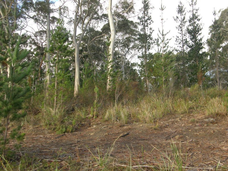 Lot 1 Nubeena Back Road, Nubeena TAS 7184