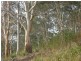 Lot 1 Nubeena Back Road, Nubeena TAS 7184