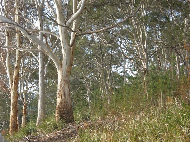 Lot 1 Nubeena Back Road, Nubeena TAS 7184