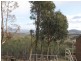 60 Old Coach Road, Forcett TAS 7173