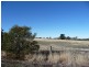 Lot 3 212 Greens Road, Orielton TAS 7172