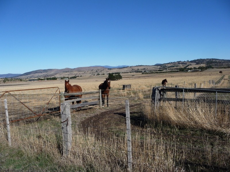 Lot 3 212 Greens Road, Orielton TAS 7172