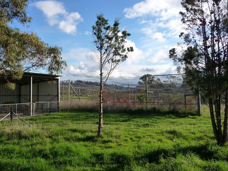 23 Prebbles Road, Copping TAS 7174