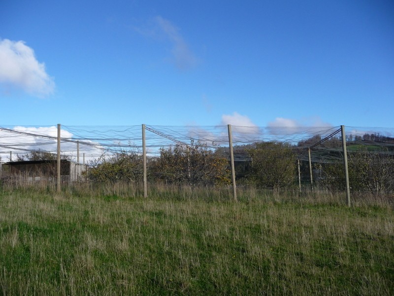 23 Prebbles Road, Copping TAS 7174