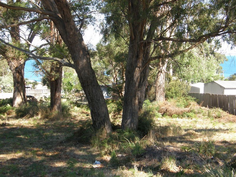 22 Broom Street, Primrose Sands TAS 7173