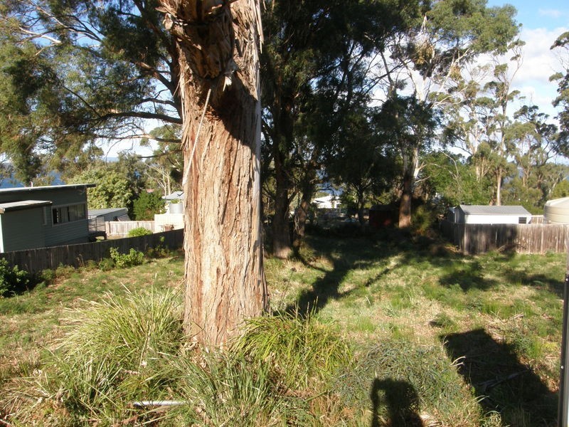 22 Broom Street, Primrose Sands TAS 7173
