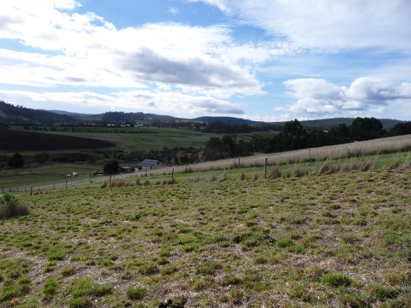 11 Moorpark Court, Forcett TAS 7173