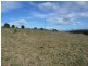 11 Moorpark Court, Forcett TAS 7173