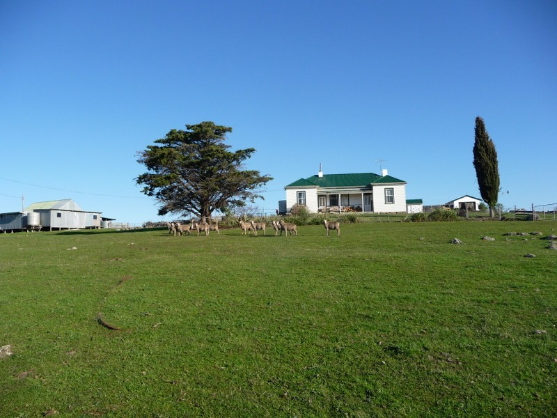 36 Nonesuch Road, Wattle Hill TAS 7172