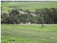 139 Gilling Brook Road, Forcett TAS 7173