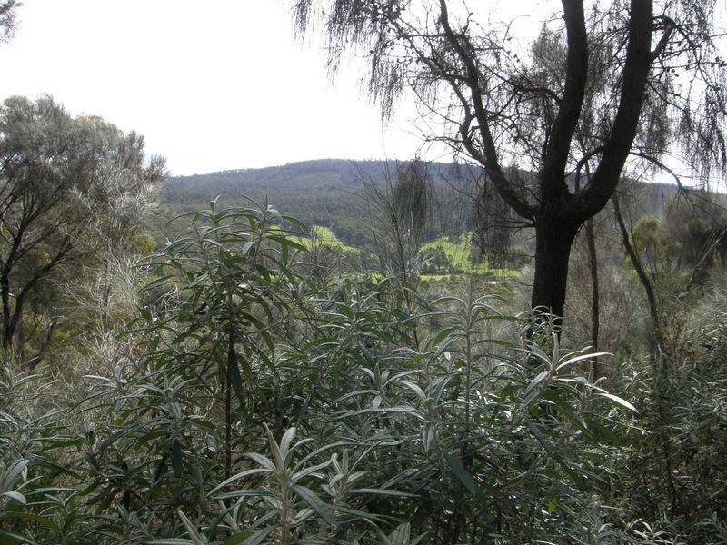 21 Eagleview Road, Nubeena TAS 7184