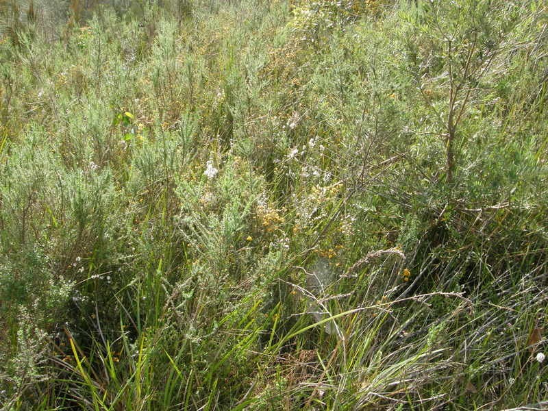 21 Eagleview Road, Nubeena TAS 7184