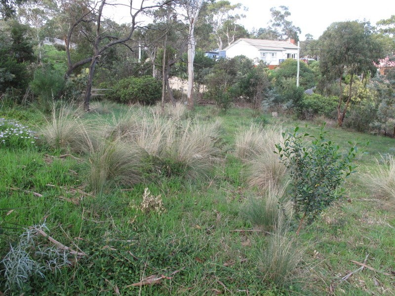 2 Gully Road, Dodges Ferry TAS 7173