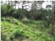 2 Gully Road, Dodges Ferry TAS 7173