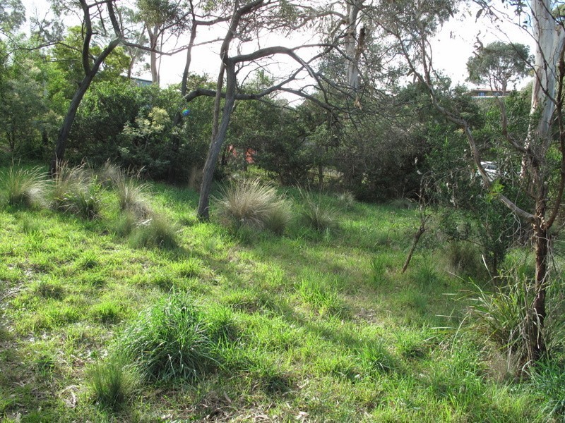 2 Gully Road, Dodges Ferry TAS 7173
