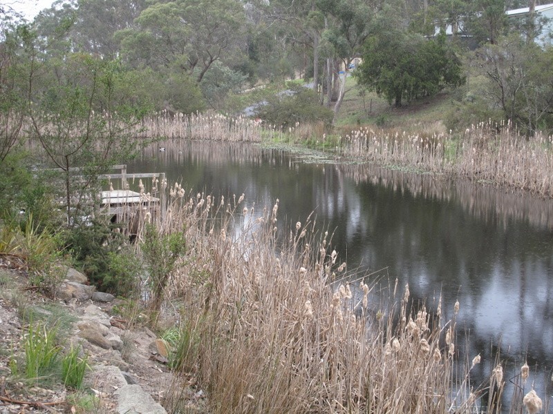 8 Bowden Court, Forcett TAS 7173