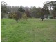 8 Bowden Court, Forcett TAS 7173