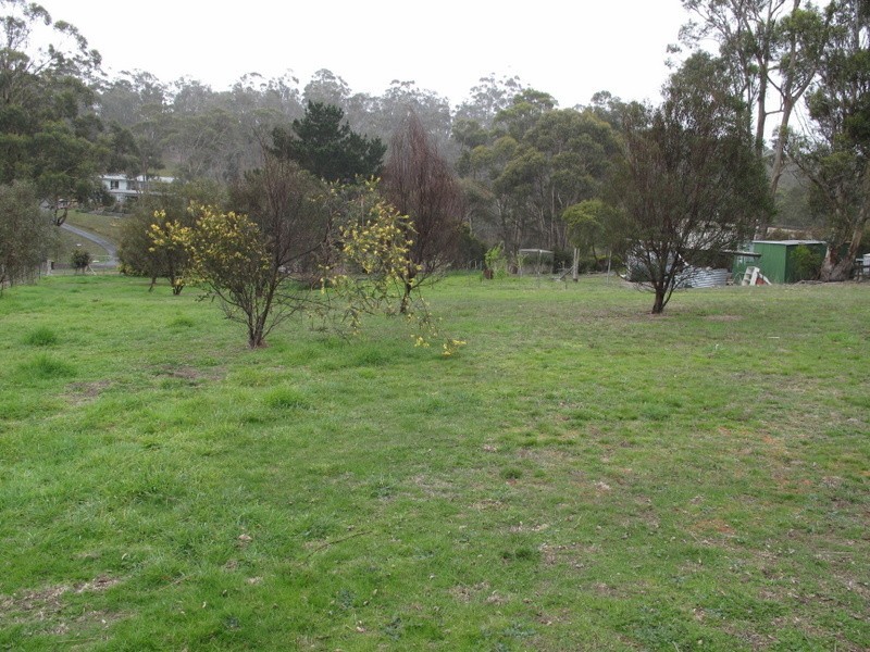 8 Bowden Court, Forcett TAS 7173