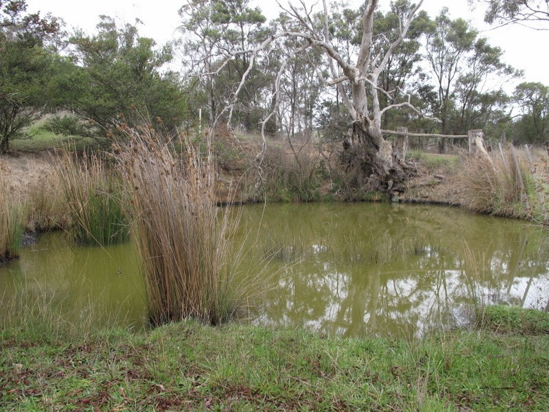 8 Bowden Court, Forcett TAS 7173