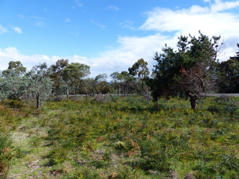 Lot 3, 415 Primrose Sands Road, Primrose Sands TAS 7173