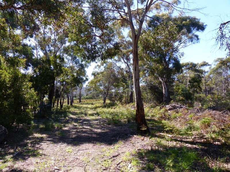 Lot 2 – 415 Primrose Sands Road, Primrose Sands TAS 7173
