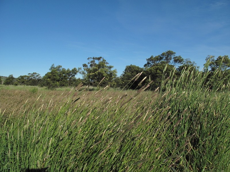 Lot 3 Penna Road, Penna TAS 7171