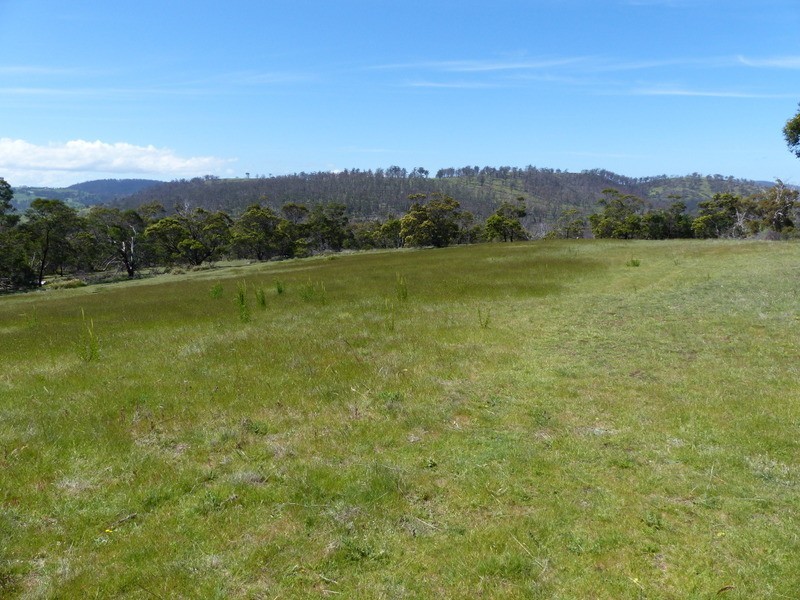 6 Correa Street, Primrose Sands TAS 7173