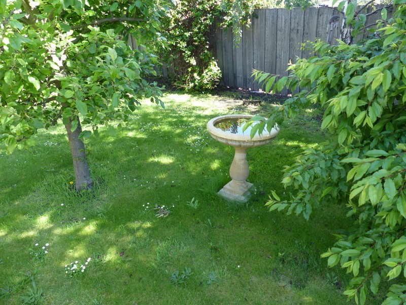 43 Walker Street, Sorell TAS 7172