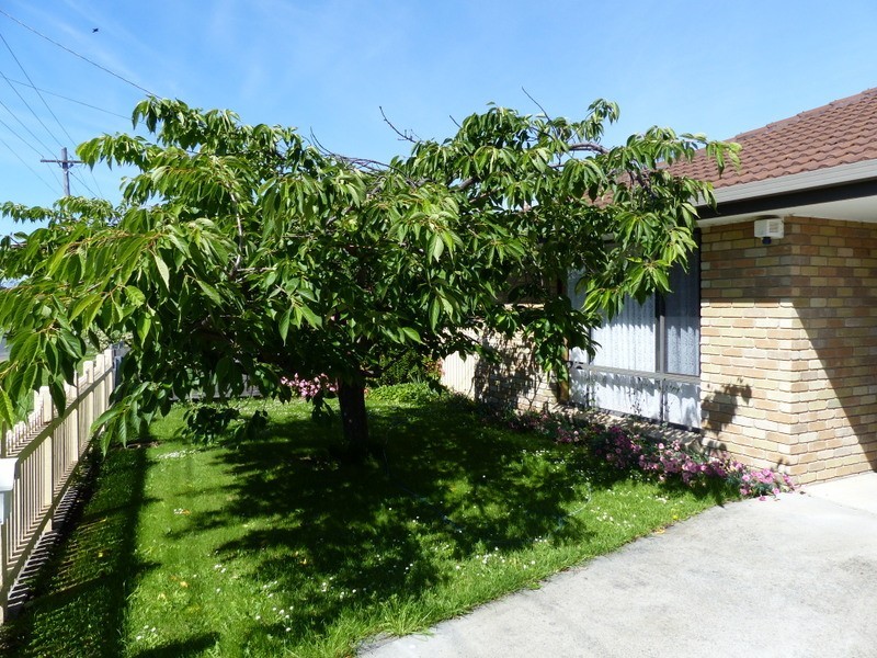 43 Walker Street, Sorell TAS 7172