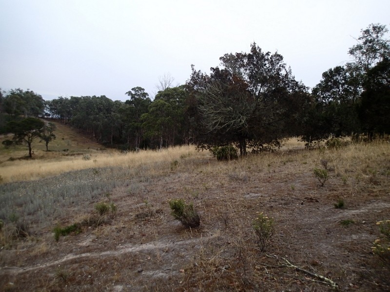 219 Old Forcett Road, Forcett TAS 7173