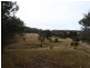 219 Old Forcett Road, Forcett TAS 7173