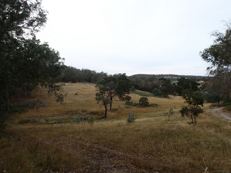 219 Old Forcett Road, Forcett TAS 7173