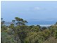 219 Old Forcett Road, Forcett TAS 7173