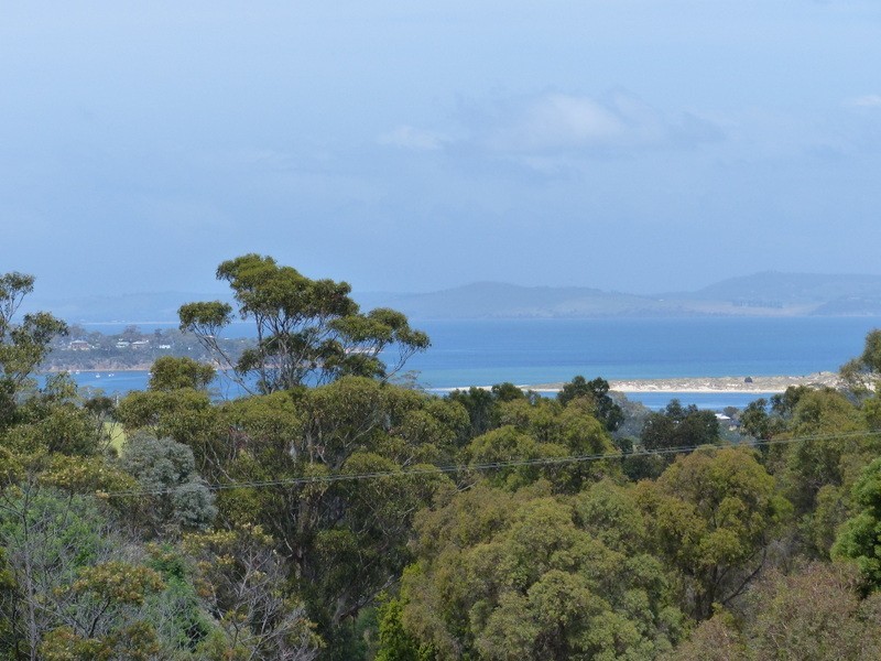 219 Old Forcett Road, Forcett TAS 7173