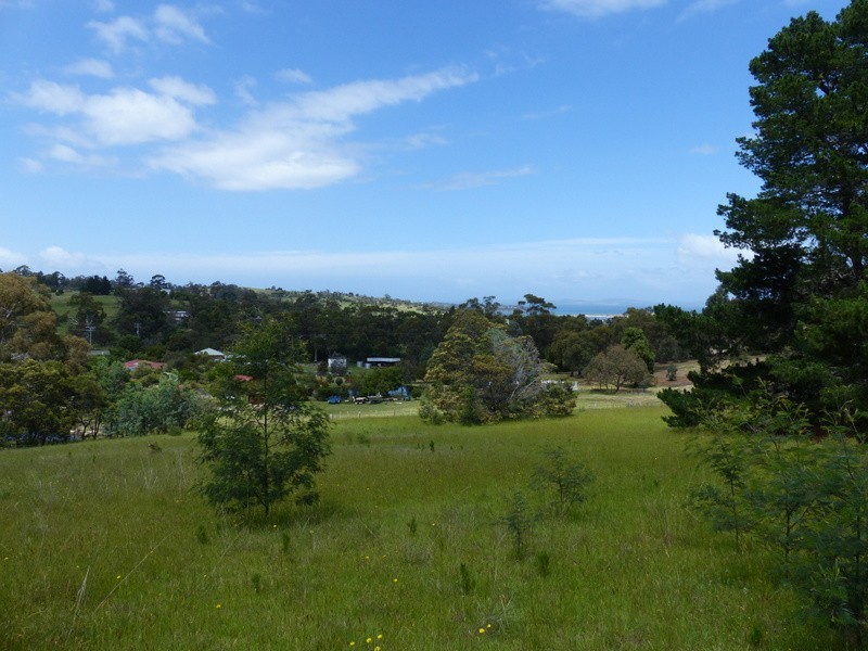 219 Old Forcett Road, Forcett TAS 7173