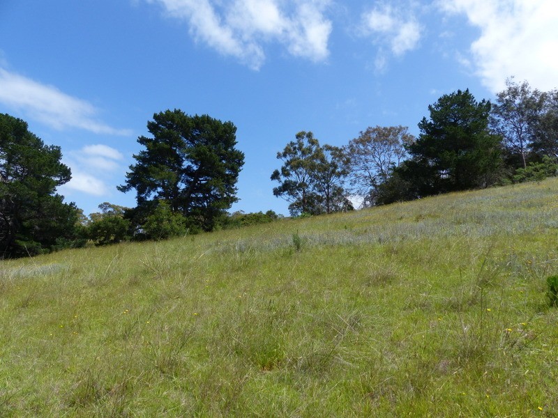 219 Old Forcett Road, Forcett TAS 7173