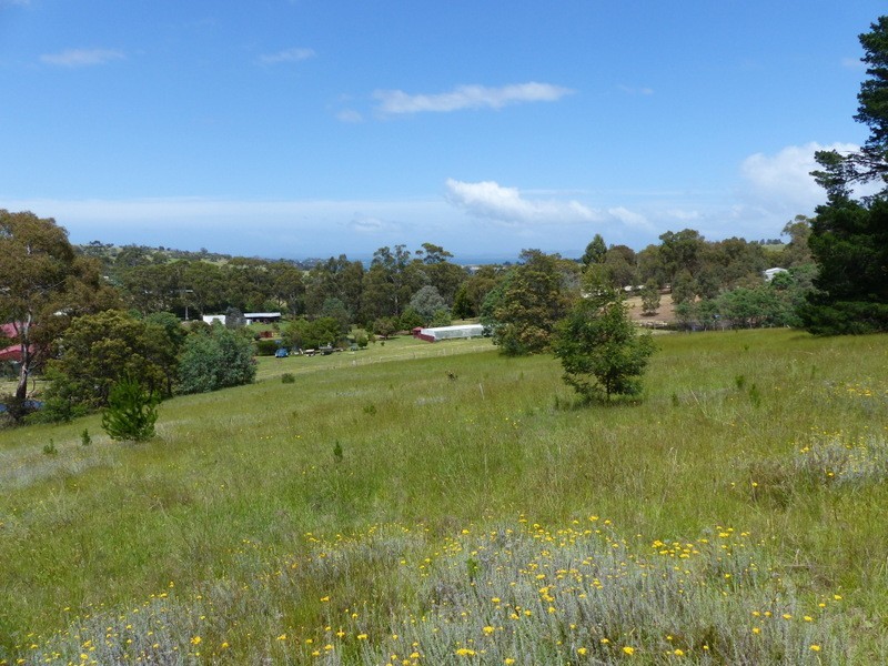 219 Old Forcett Road, Forcett TAS 7173