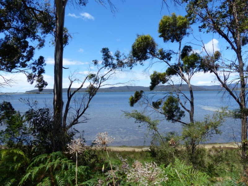 335 Bay Road, Boomer Bay TAS 7177