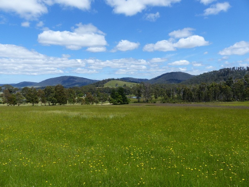 477 Kellevie Road, Kellevie TAS 7176