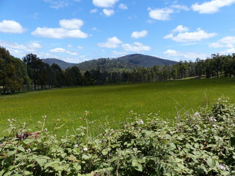 477 Kellevie Road, Kellevie TAS 7176