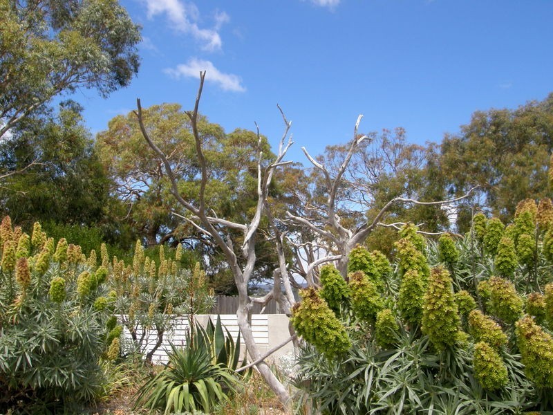 5 Erle Street West, Carlton River TAS 7173