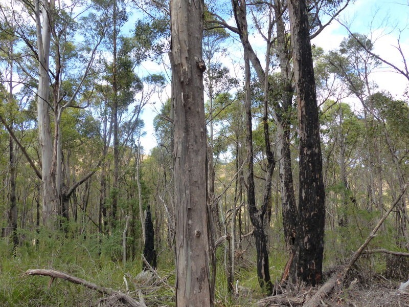 9 Wielangta Road, Kellevie TAS 7176