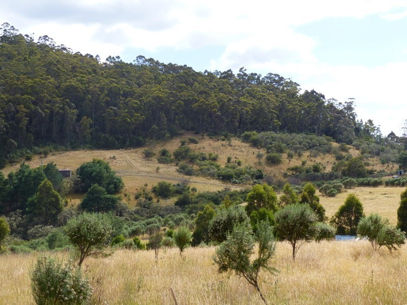 9 Wielangta Road, Kellevie TAS 7176