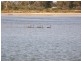5 Esplanade, Carlton River TAS 7173