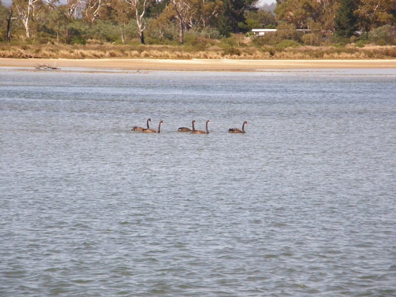 5 Esplanade, Carlton River TAS 7173