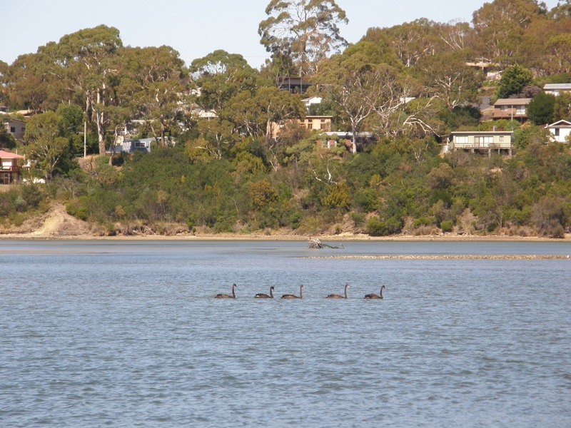 5 Esplanade, Carlton River TAS 7173